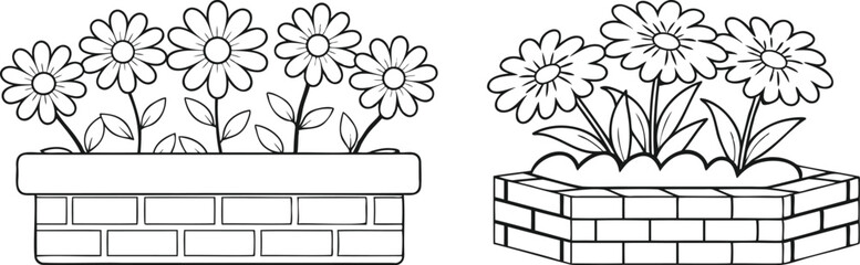Set of Chamomiles in a Pot on White Box Brick Wall Line Art Vector Design | Hand-Drawn Botanical Flower Illustration