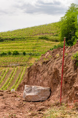 La première pierre d'un mur de soutien dans le vignoble en terrasse sur les coteaux alsaciens