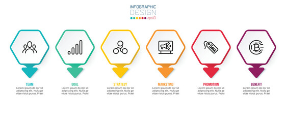 Business concept infographic template with option.
