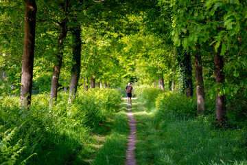 Hiking concept, Spring landscape with small nature gravel path, Young green leaves on the tree with blurred a man walking in the wood with warm sunlight in the afternoon, Hobby and leisure activities.