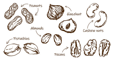 Doodle Elements of Vegetables and Fruits - Hand-Drawn Illustration