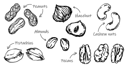 Doodle Elements of Vegetables and Fruits - Hand-Drawn Illustration