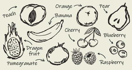 Doodle Elements of Vegetables and Fruits - Hand-Drawn Illustration