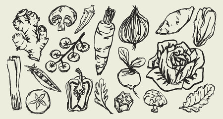 Doodle Elements of Vegetables and Fruits - Hand-Drawn Illustration