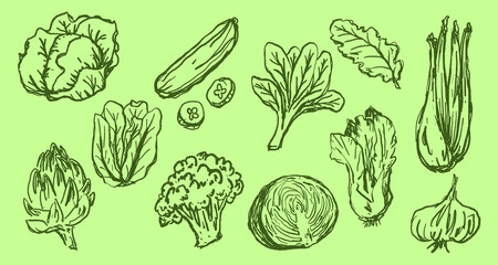 Doodle Elements of Vegetables and Fruits - Hand-Drawn Illustration