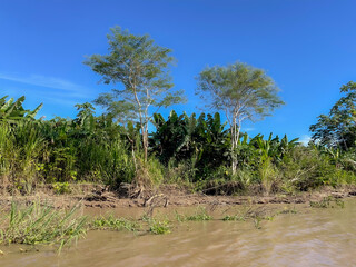 Amazon river in Peru next to Iquitos town