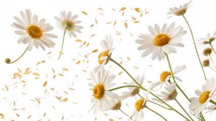 Daisies dance in the breeze as golden petals drift gently through the air in a serene setting evoking feelings of tranquility and joy Generative AI