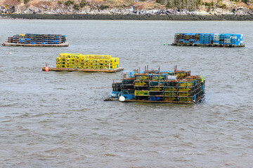 Lobster traps on small floating barges in a harbor. There are four barges filled with traps. Focus on the closest. Shore visible across the bay.