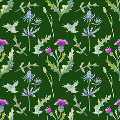 Seamless pattern. Field flowers. The image of summer. Watercolor illustration. Design element.