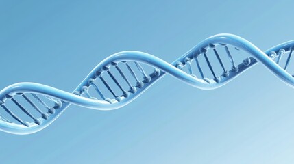 DNA Helix