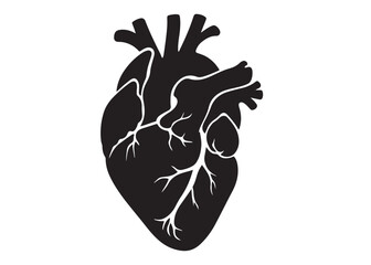 human heart logo silhouette vector illustration,  human heart logo icon, heart human organs medicine medical vector silhouette, human heart vector logo silhouette on a white background