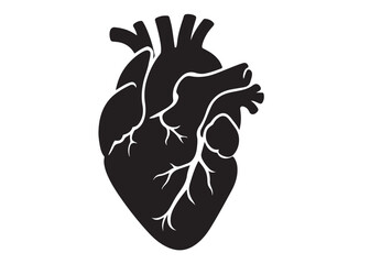 human heart logo silhouette vector illustration,  human heart logo icon, heart human organs medicine medical vector silhouette, human heart vector logo silhouette on a white background