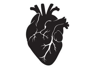 human heart logo silhouette vector illustration,  human heart logo icon, heart human organs medicine medical vector silhouette, human heart vector logo silhouette on a white background