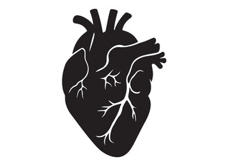 human heart logo silhouette vector illustration,  human heart logo icon, heart human organs medicine medical vector silhouette, human heart vector logo silhouette on a white background