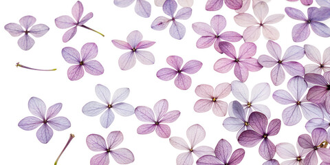 Delicate petals in soft shades of lavender dance across a bright background, creating an ethereal tapestry of nature’s beauty in a tranquil setting Generative AI