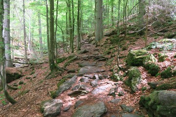 Dieser Wanderweg durch die Rißlochschlucht ist sehr steinig und erfordert Konzentration. Er führt zu den Rißlochwasserfällen in Bodenmais im Bayerischen Wald. 