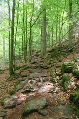 Der steinige Wanderweg durch die Rißlochschlucht steigt an. Er führt zu den Rißlochwasserfällen in Bodenmais im Bayerischen Wald. 