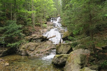 Wasser fließt im Frühling den Rißlochwasserfall hinab in der Rißlochschlucht in Bodenmais. Der Ort liegt im Bayerischen Wald. 