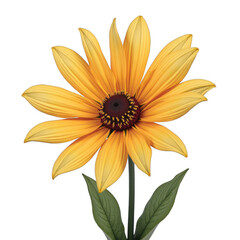 Obraz premium Bright sunlit flower, vibrant yellow petals surrounding a dark center, evoking feelings of warmth and positivity, perfect for cheerful designs. Isolated on white background or PNG