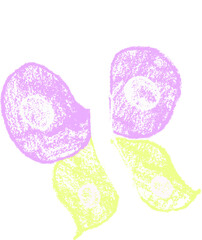 Crayon Butterfly