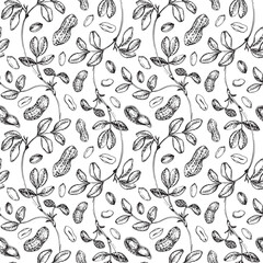 Peanut seamless vector pattern hand drawn with ink. Graphic ornament with whole and cut nuts in shell and peeled kernels. For label design