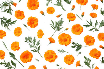 Vibrant orange calendula flower pattern isolated on transparent background