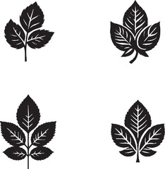 Black and White Stylized Leaf Illustrations with Unique Vein Patterns