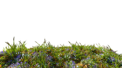 3d rendered lush windswept prairie isolated on a black background. 3D rendering of spring grass...
