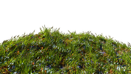 3D  Rendered  windswept sunny prairie field with grass and spring flowers, isolated on a transparent background. Patch of green grasslands with scattered spring flowers. 3D floral landscape scene 