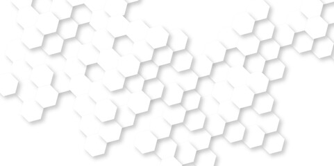Fototapeta premium Minimal white hexagonal hexagon modern technology creative emboss light honeycomb polygonal web. abstract geometric science and mosaic tile with template texture background. 