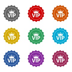 VIP badge icon isolated on white background. Set icons colorful