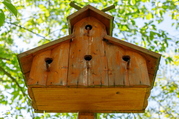 A beautifully designed wooden birdhouse with multiple entry holes is suspended amidst vibrant green foliage in a sunlit garden. It captures the essence of summer and outdoor wildlife
