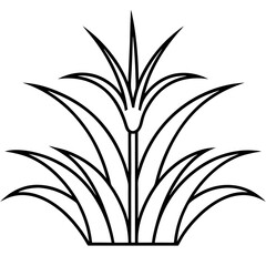 vector illustration of a plant