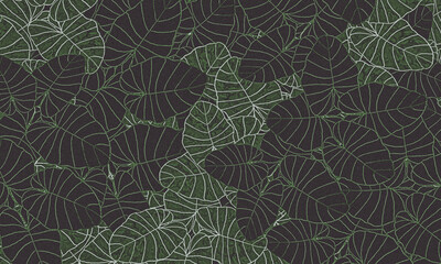 Green  tropical   leaves  wallpaper  background