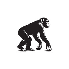 Fototapeta premium **