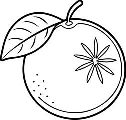 citrus outline vector illustration, line art	