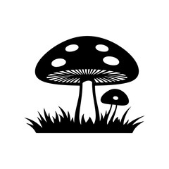 Mushrooms in the forest