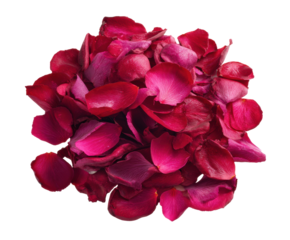 Vibrant red rose petals for decorative purposes and celebrations on a transparent background, cut out
