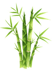 A watercolor painting of bamboo stalks with green leaves against a solid green background