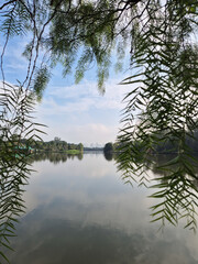 reflection in water