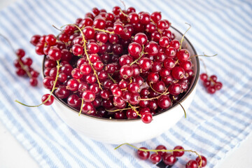 Raw organic red currant bowl
