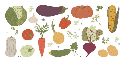 Vegetables hand-drawn Set in boho style cabbage, tomato, beetroot, onion, corn, pumpkin, and other farm veggies. Perfect for food branding, rustic packaging,eco labels, and fall harvest designs © Kapalakus
