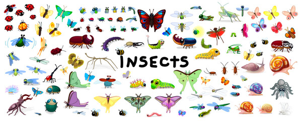 vector cartoon color insects set isolated on transparent background. Hand drown design elements.  © Vetra Kori