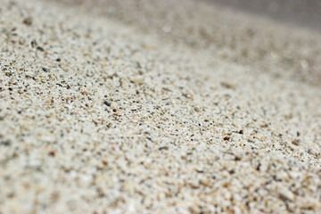 Sand texture. Sand on the seashore. Sand particles. Natural sandy background with sea sand. Sand selective focus