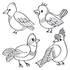 Birds set. Hand drawn vector illustration. Red cardinal. Exotic bird. Parrot, kookaburra, dove. Wings, feathers, beak. Doodle line art elements collection.