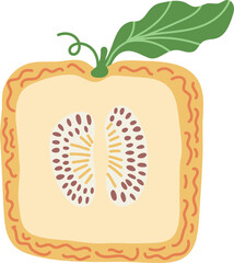 Artistic hand drawn illustration of square melon with leaf. Vector drawing of half of sweet fruit with seeds and pulp isolated on white background. Drawing of summer vegan dessert for your printing.