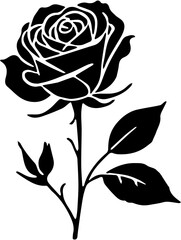 rose vector illustration
