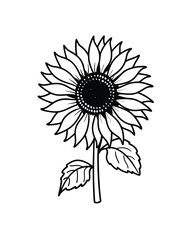 vector illustration of a flower