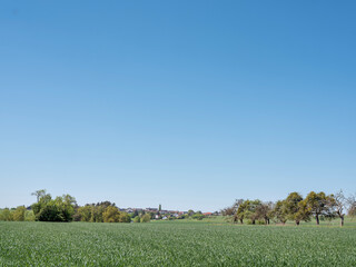 fields and meadows near berdorf in luxemburg countryside
