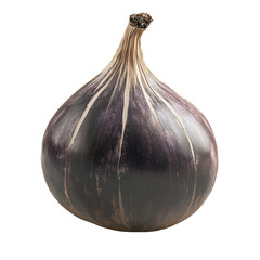 Close-up of a dark purple fig with light stripes isolated on transparent background